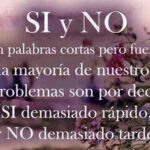 Reflexiones sobre la Vida: La Sabiduría de las Frases Motivadoras